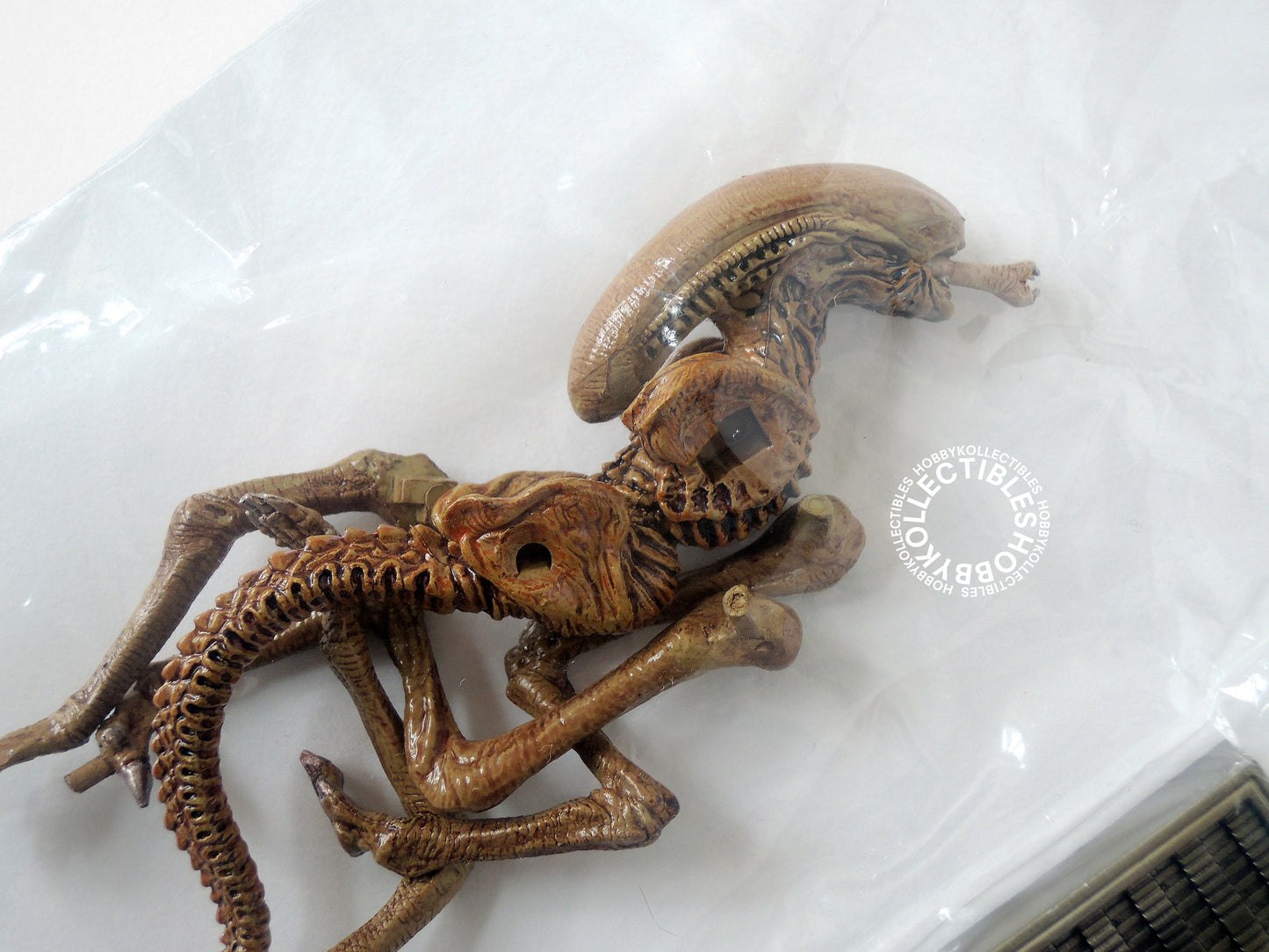 Lot of Konami SF Movie Alien Pre-colored Figure Toy Kit x 8 Box