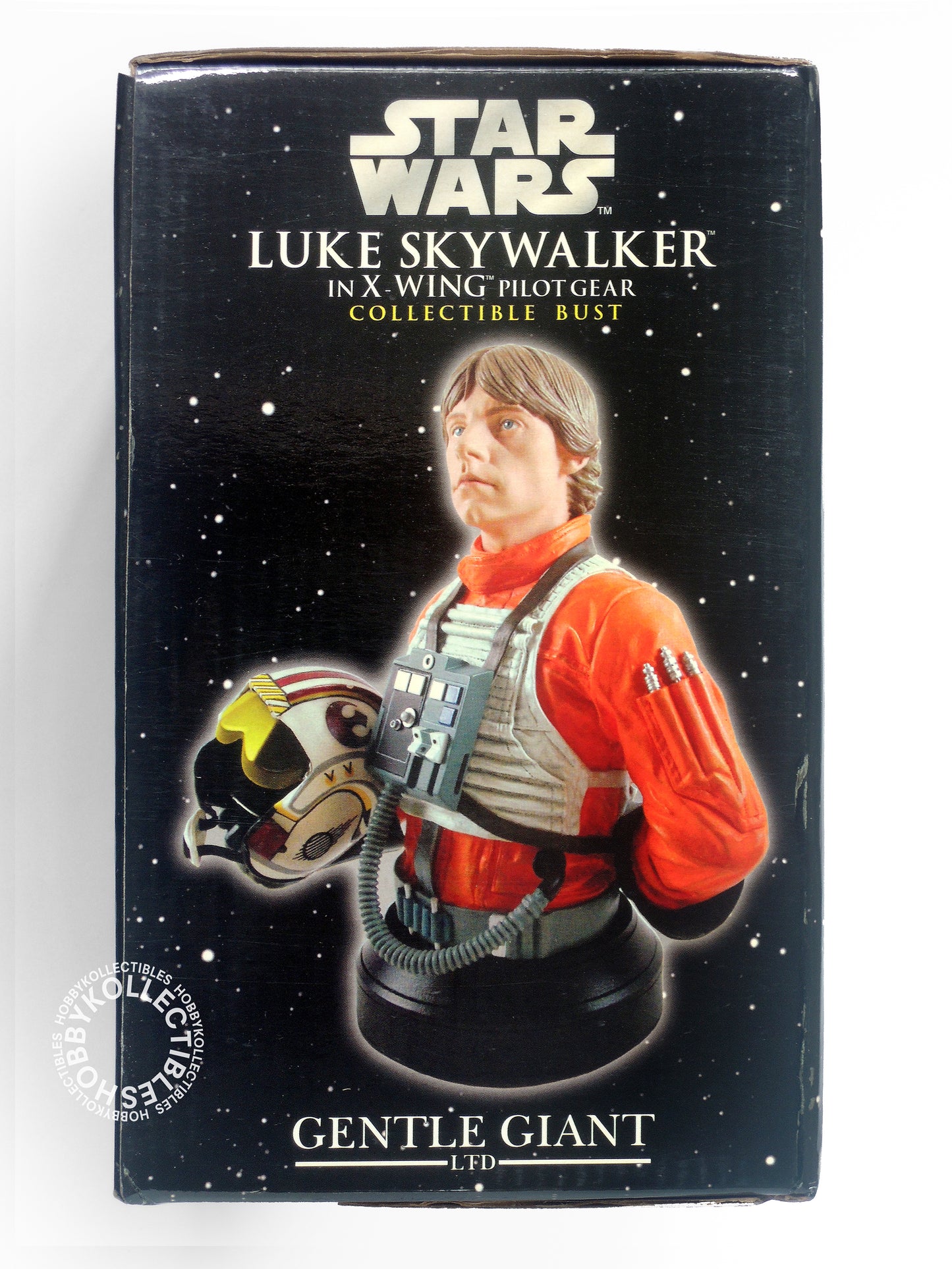 Gentle Giant Star Wars Luke Skywalker Collectible Mini Bust BNIB