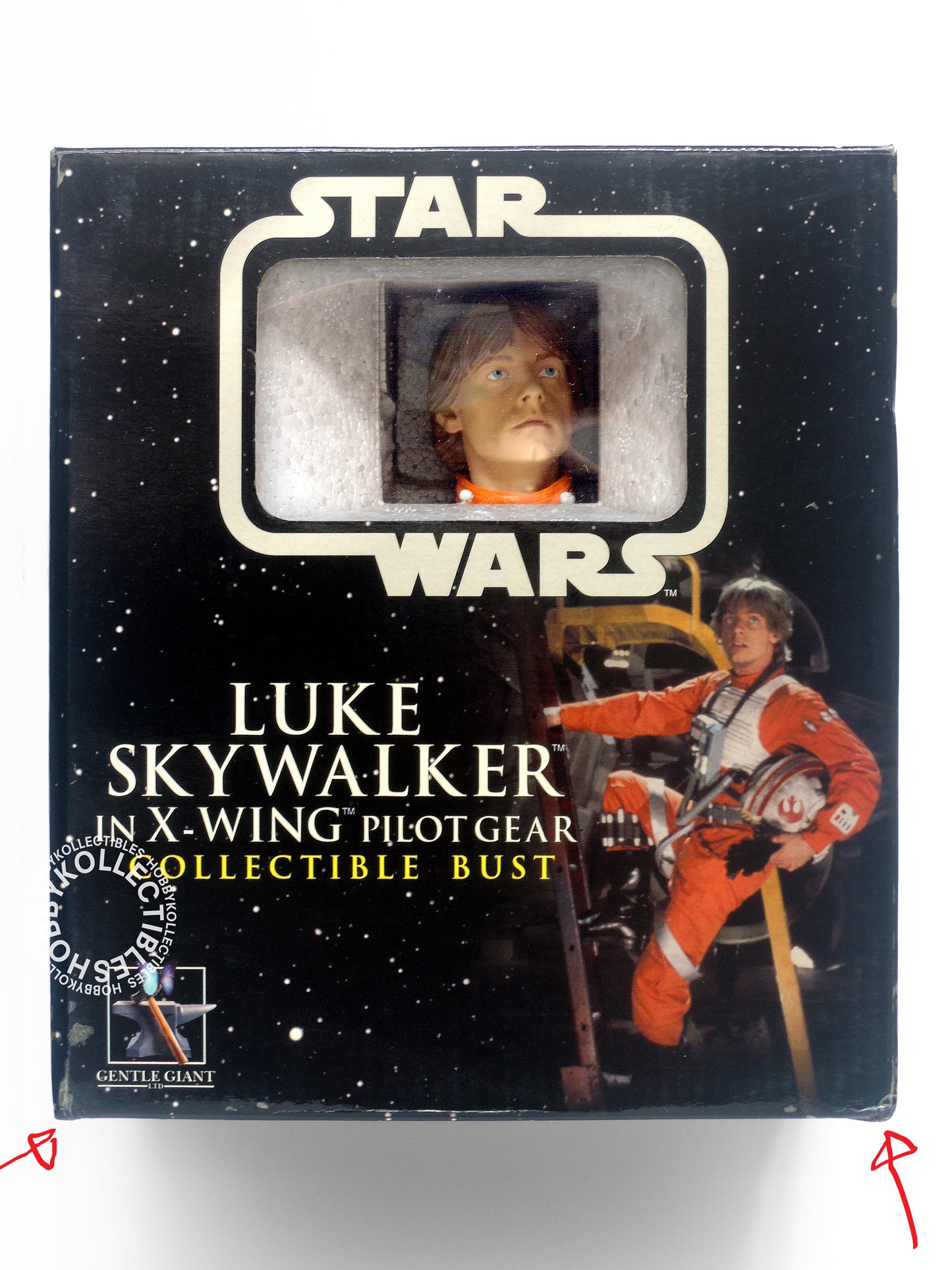 Gentle Giant Star Wars Luke Skywalker Collectible Mini Bust BNIB