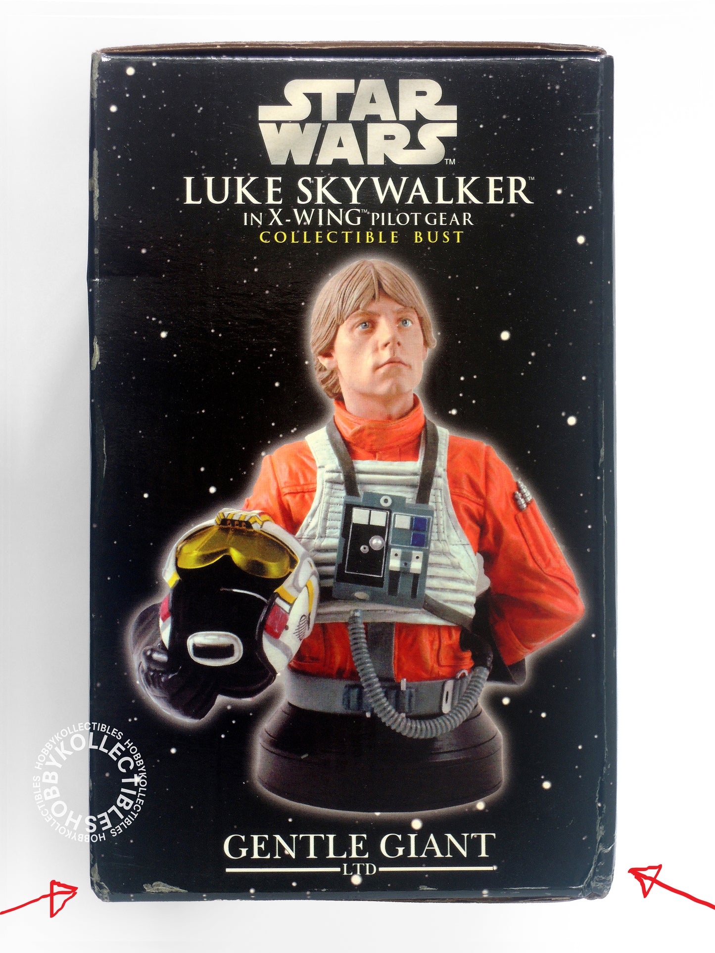 Gentle Giant Star Wars Luke Skywalker Collectible Mini Bust BNIB
