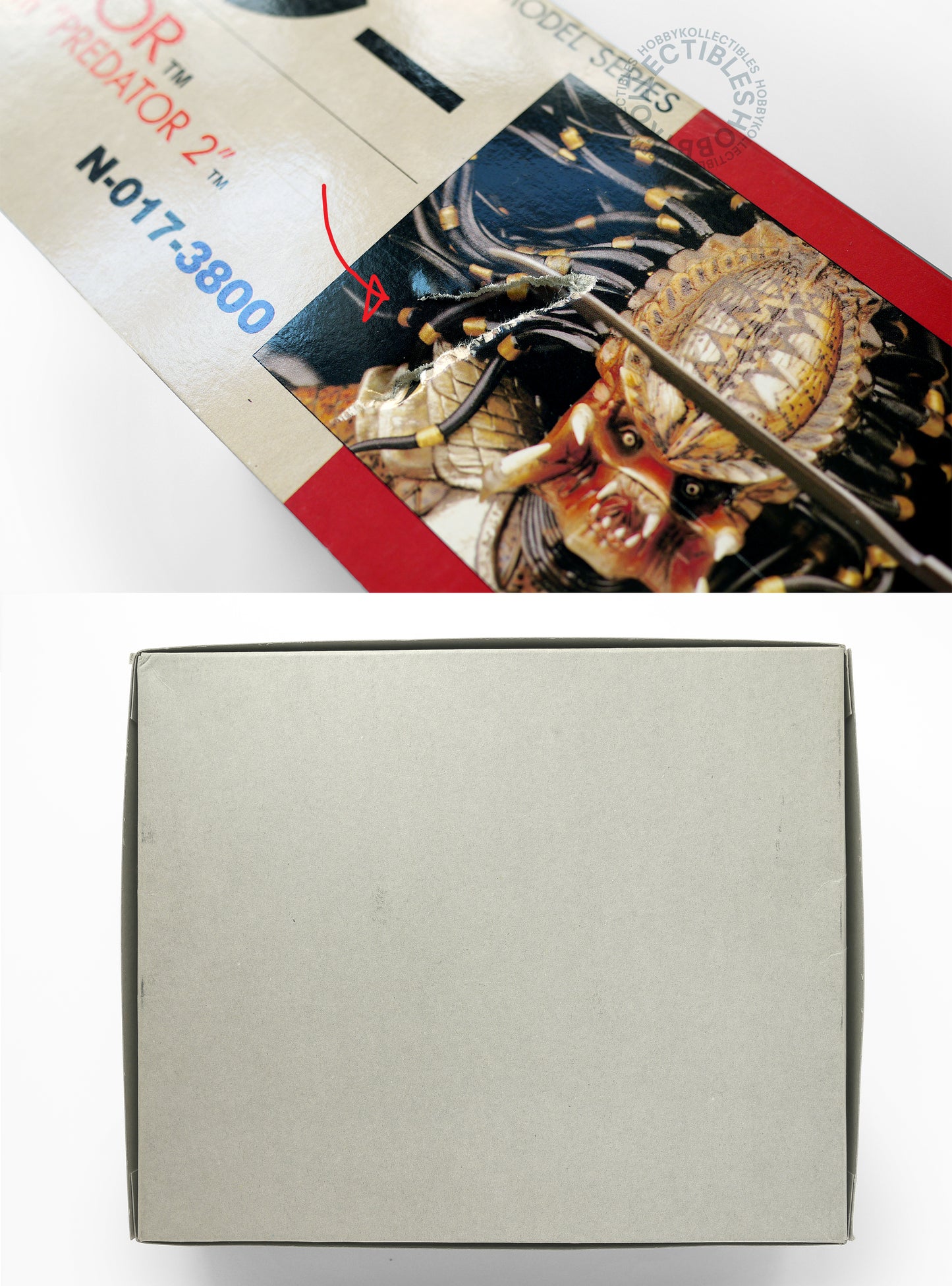 Tsukuda Hobby 1/9 Predator Plastic Model Kit Halcyon Rebox
