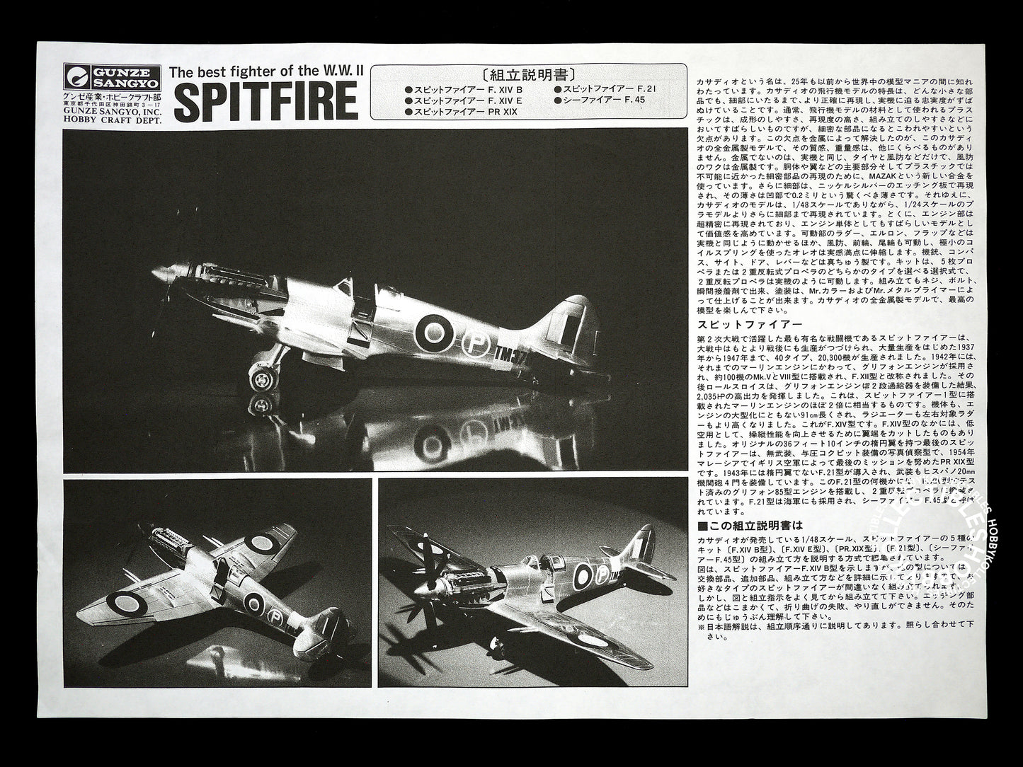 Casadio Gunze 1/48 Spitfire PR XIX Fighter Metal Model Kit