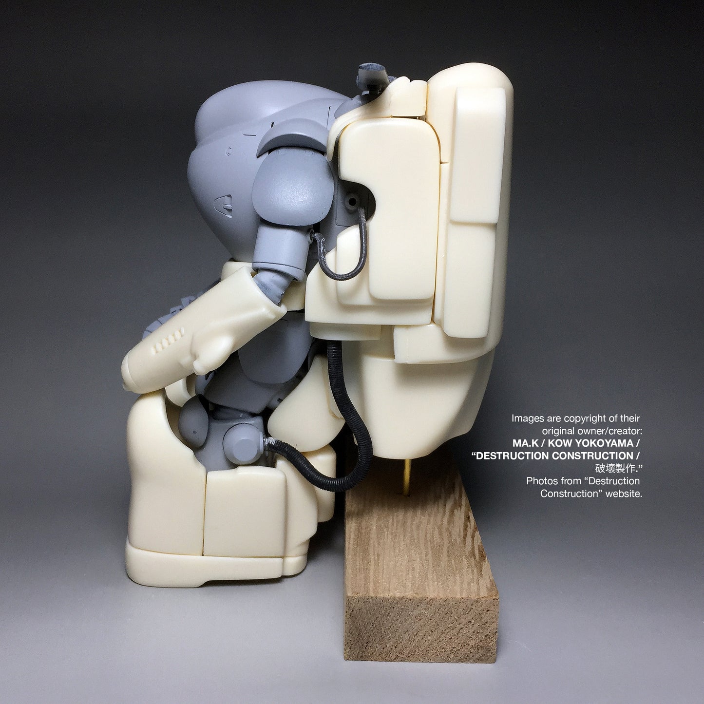 Ma.K SF3D Destruction Production 破壞製作 1/20 Hell Diver Resin Trans Kit
