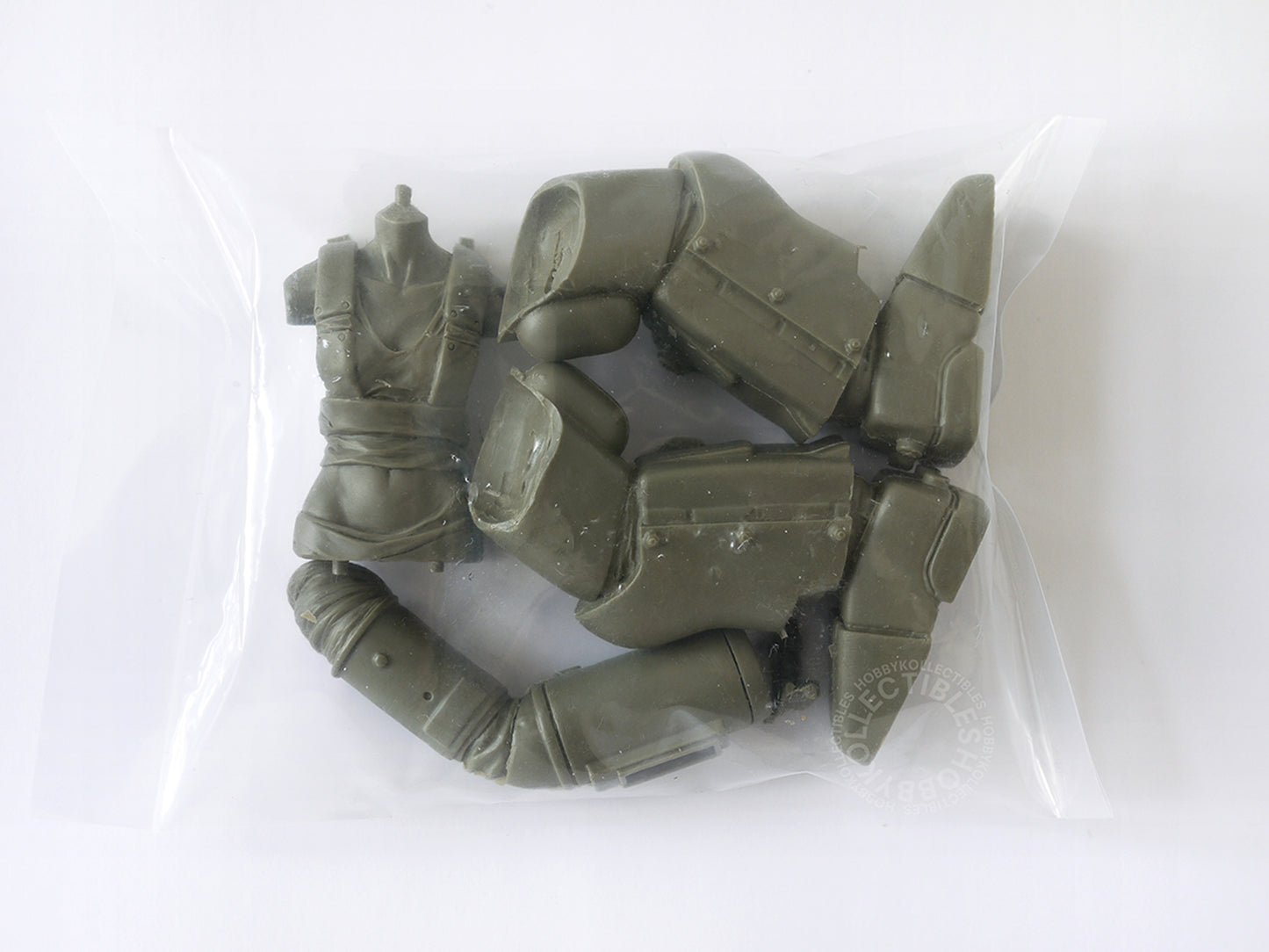 Ma.K Love Love Garden SF3D 1/16 SAFS MK.III Raptor & Female Pilot Resin Model Kit