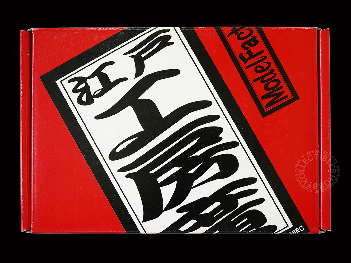 Model Factory Hiro MFH 1/20 scale FW16 Brazil GP full detail model Kit K-105 box top view