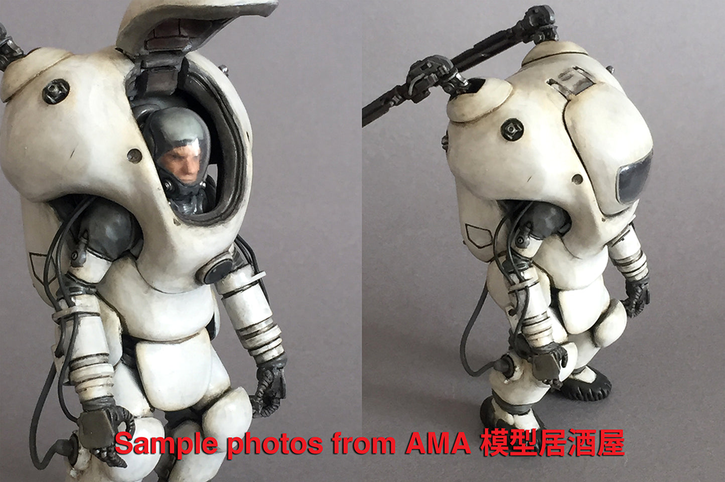 Ma.K SF3D 模型居酒屋 AMA Modelling 1/20 Garnele Resin Model Kit
