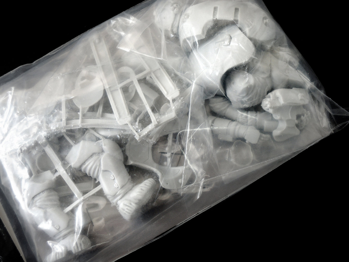 Ma.K SF3D 模型居酒屋 AMA Modelling 1/20 Garnele Resin Model Kit